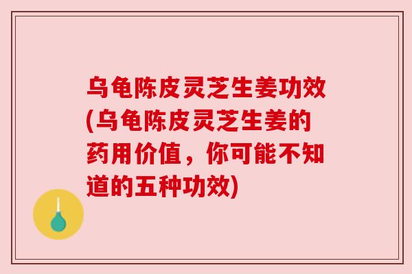 乌龟陈皮灵芝生姜功效(乌龟陈皮灵芝生姜的药用价值，你可能不知道的五种功效)