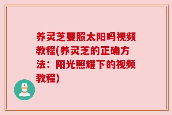 养灵芝要照太阳吗视频教程(养灵芝的正确方法：阳光照耀下的视频教程)