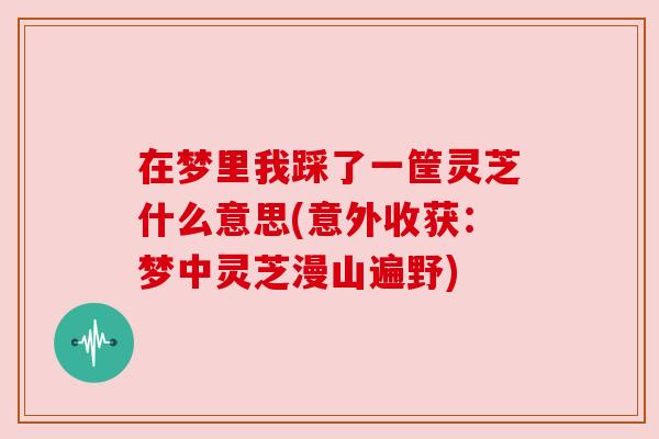 在梦里我踩了一筐灵芝什么意思(意外收获：梦中灵芝漫山遍野)