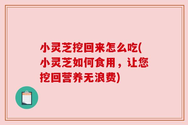 小灵芝挖回来怎么吃(小灵芝如何食用，让您挖回营养无浪费)