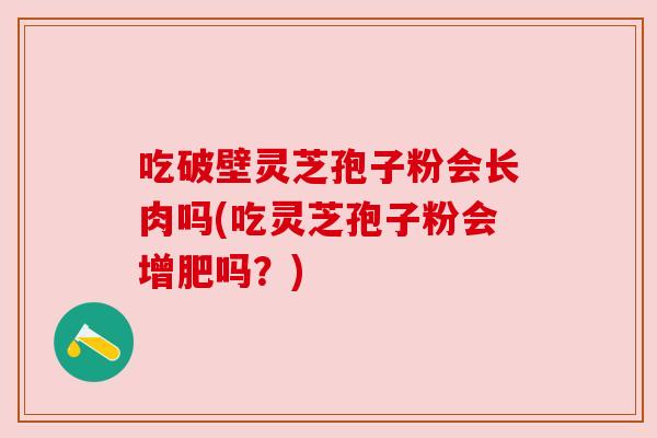 吃破壁灵芝孢子粉会长肉吗(吃灵芝孢子粉会增肥吗？)