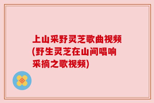 上山采野灵芝歌曲视频(野生灵芝在山间唱响采摘之歌视频)