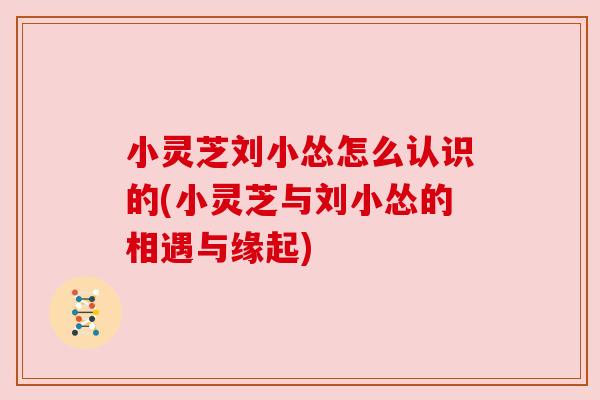 小灵芝刘小怂怎么认识的(小灵芝与刘小怂的相遇与缘起)