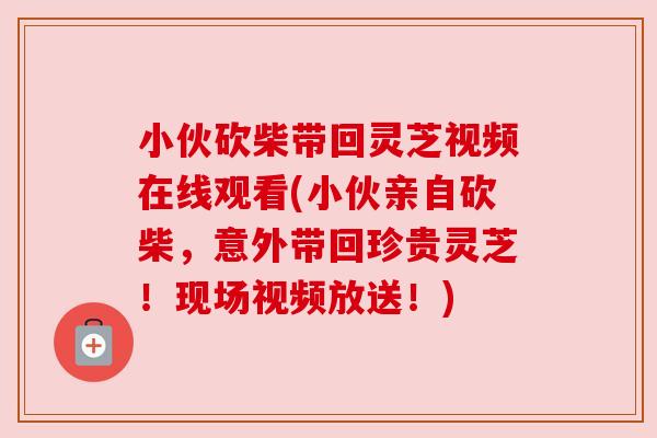 小伙砍柴带回灵芝视频在线观看(小伙亲自砍柴，意外带回珍贵灵芝！现场视频放送！)