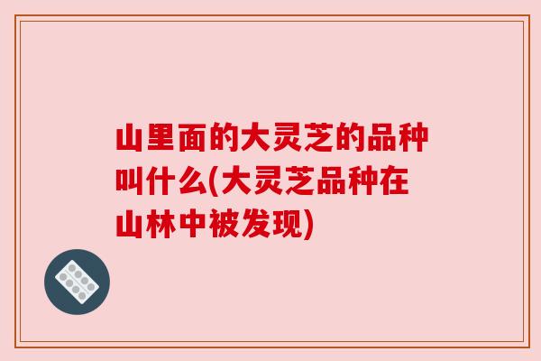 山里面的大灵芝的品种叫什么(大灵芝品种在山林中被发现)