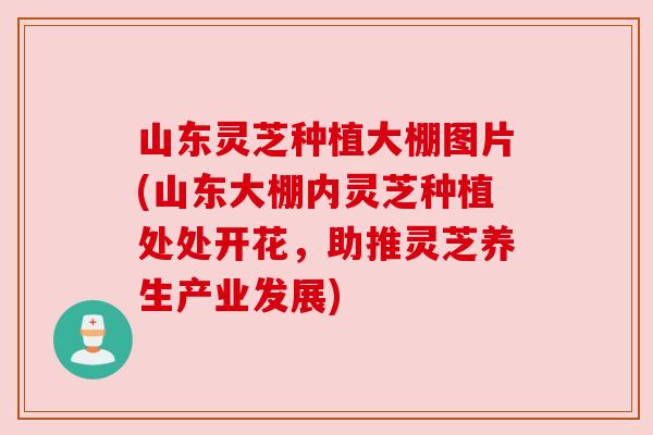 山东灵芝种植大棚图片(山东大棚内灵芝种植处处开花，助推灵芝养生产业发展)