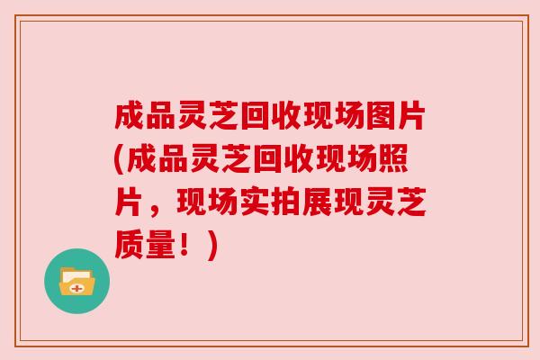 成品灵芝回收现场图片(成品灵芝回收现场照片，现场实拍展现灵芝质量！)