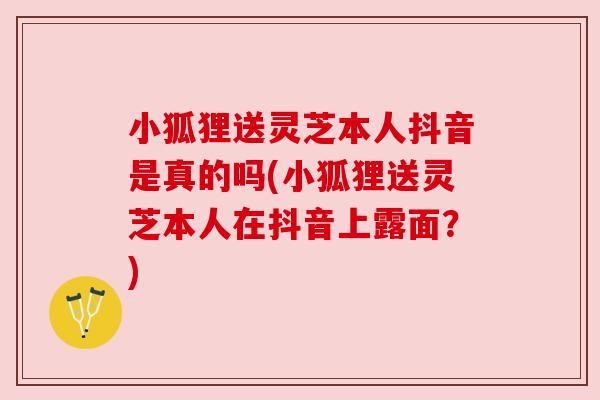 小狐狸送灵芝本人抖音是真的吗(小狐狸送灵芝本人在抖音上露面？)