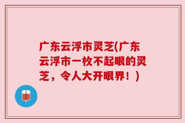 广东云浮市灵芝(广东云浮市一枚不起眼的灵芝，令人大开眼界！)