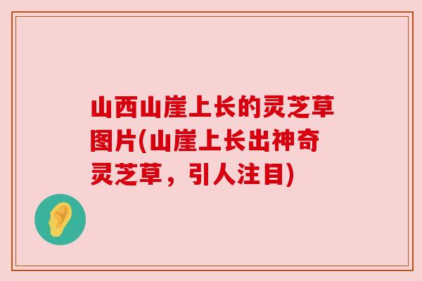 山西山崖上长的灵芝草图片(山崖上长出神奇灵芝草，引人注目)