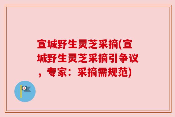 宣城野生灵芝采摘(宣城野生灵芝采摘引争议，专家：采摘需规范)