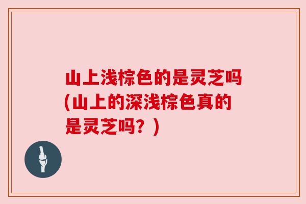 山上浅棕色的是灵芝吗(山上的深浅棕色真的是灵芝吗？)