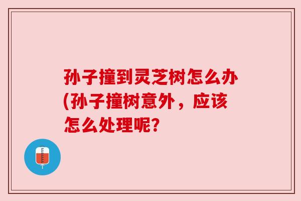 孙子撞到灵芝树怎么办(孙子撞树意外，应该怎么处理呢？