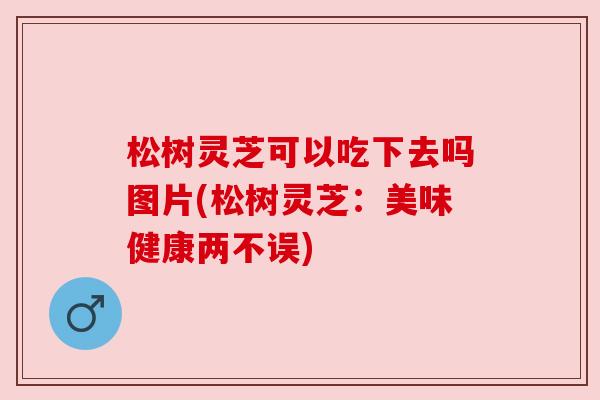 松树灵芝可以吃下去吗图片(松树灵芝：美味健康两不误)