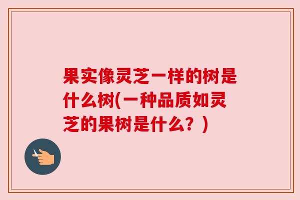 果实像灵芝一样的树是什么树(一种品质如灵芝的果树是什么？)