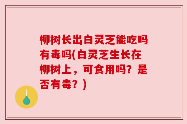 柳树长出白灵芝能吃吗有毒吗(白灵芝生长在柳树上，可食用吗？是否有毒？)