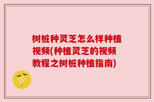 树桩种灵芝怎么样种植视频(种植灵芝的视频教程之树桩种植指南)