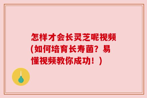 怎样才会长灵芝呢视频(如何培育长寿菌？易懂视频教你成功！)