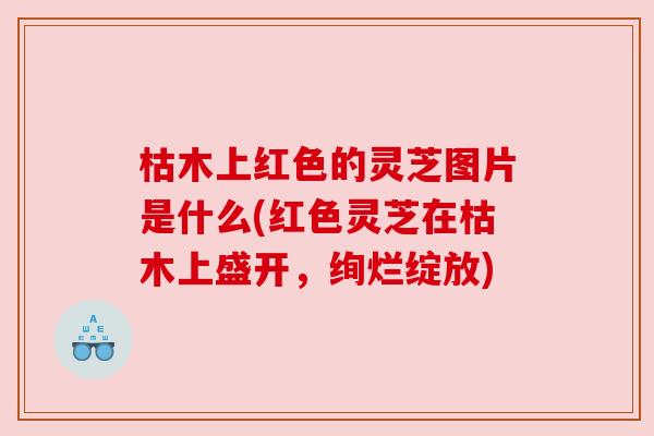 枯木上红色的灵芝图片是什么(红色灵芝在枯木上盛开，绚烂绽放)