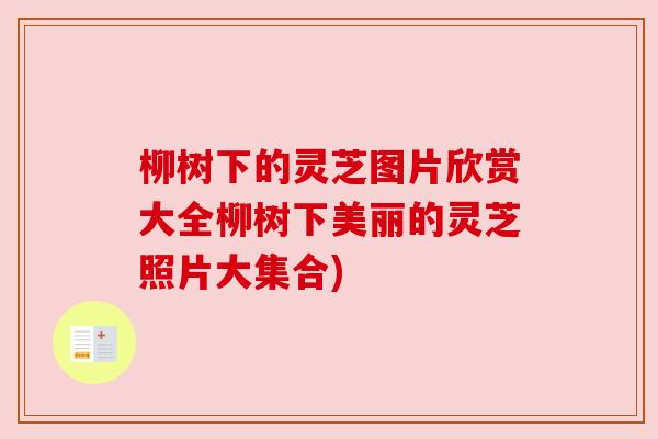 柳树下的灵芝图片欣赏大全柳树下美丽的灵芝照片大集合)