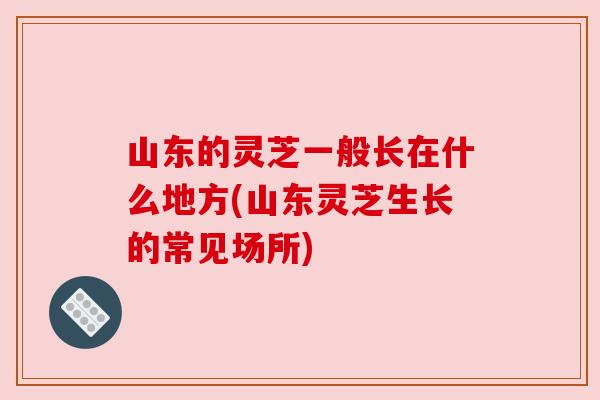 山东的灵芝一般长在什么地方(山东灵芝生长的常见场所)