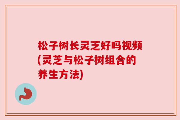 松子树长灵芝好吗视频(灵芝与松子树组合的养生方法)