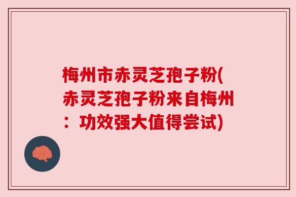 梅州市赤灵芝孢子粉(赤灵芝孢子粉来自梅州：功效强大值得尝试)