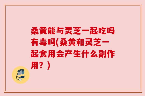 桑黄能与灵芝一起吃吗有毒吗(桑黄和灵芝一起食用会产生什么副作用？)