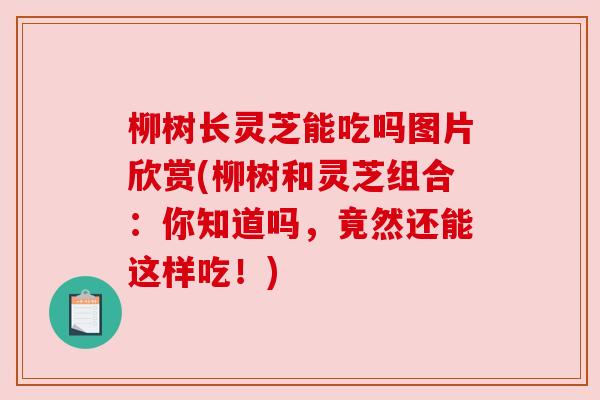 柳树长灵芝能吃吗图片欣赏(柳树和灵芝组合：你知道吗，竟然还能这样吃！)