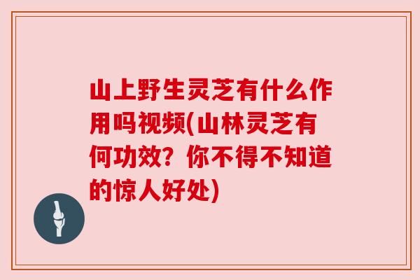 山上野生灵芝有什么作用吗视频(山林灵芝有何功效？你不得不知道的惊人好处)