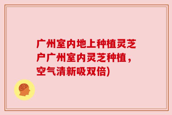 广州室内地上种植灵芝户广州室内灵芝种植，空气清新吸双倍)