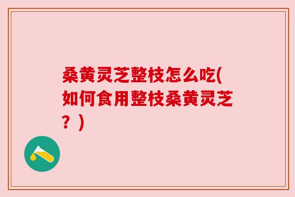 桑黄灵芝整枝怎么吃(如何食用整枝桑黄灵芝？)