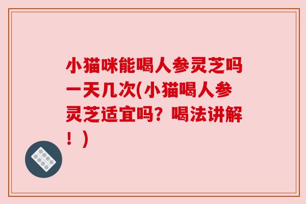 小猫咪能喝人参灵芝吗一天几次(小猫喝人参灵芝适宜吗？喝法讲解！)