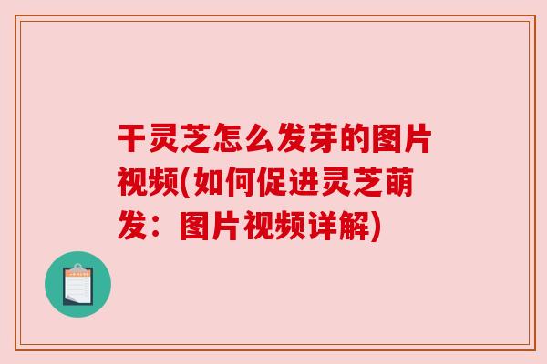 干灵芝怎么发芽的图片视频(如何促进灵芝萌发：图片视频详解)