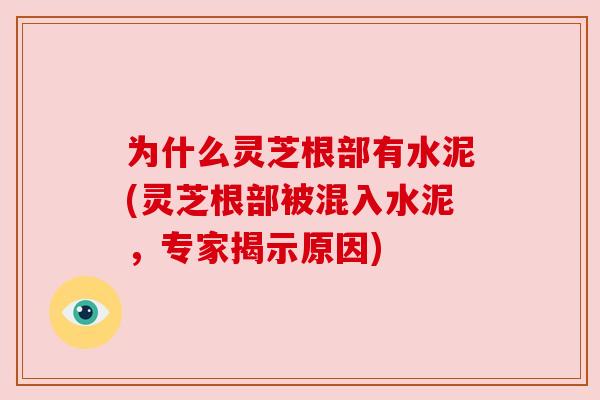 为什么灵芝根部有水泥(灵芝根部被混入水泥，专家揭示原因)