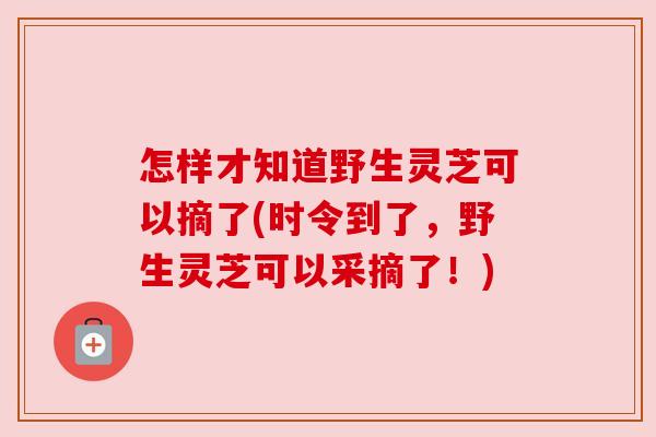 怎样才知道野生灵芝可以摘了(时令到了，野生灵芝可以采摘了！)