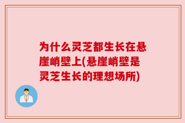 为什么灵芝都生长在悬崖峭壁上(悬崖峭壁是灵芝生长的理想场所)