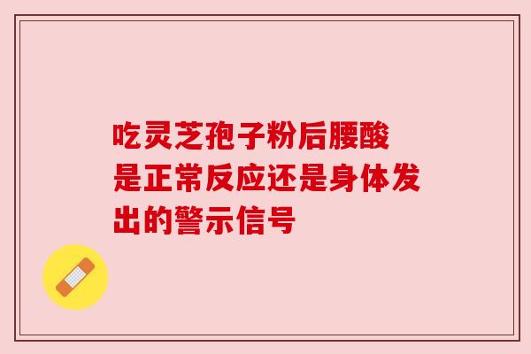 吃灵芝孢子粉后腰酸 是正常反应还是身体发出的警示信号