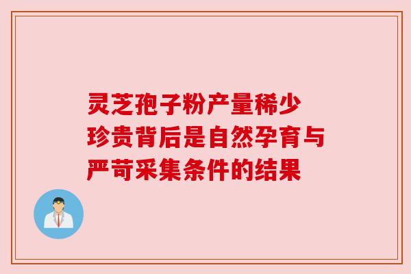 灵芝孢子粉产量稀少 珍贵背后是自然孕育与严苛采集条件的结果