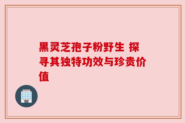 黑灵芝孢子粉野生 探寻其独特功效与珍贵价值