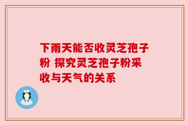 下雨天能否收灵芝孢子粉 探究灵芝孢子粉采收与天气的关系