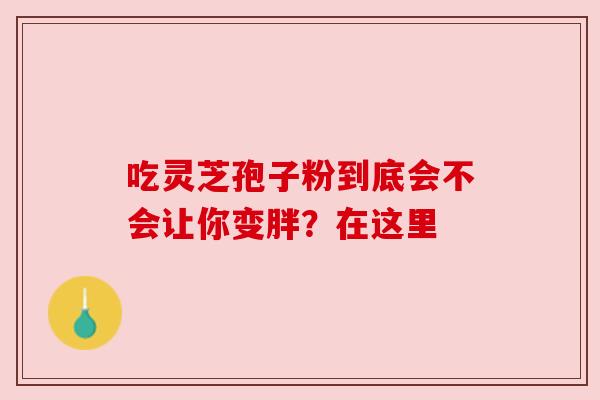 吃灵芝孢子粉到底会不会让你变胖？在这里