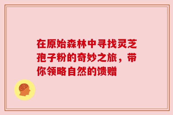 在原始森林中寻找灵芝孢子粉的奇妙之旅，带你领略自然的馈赠