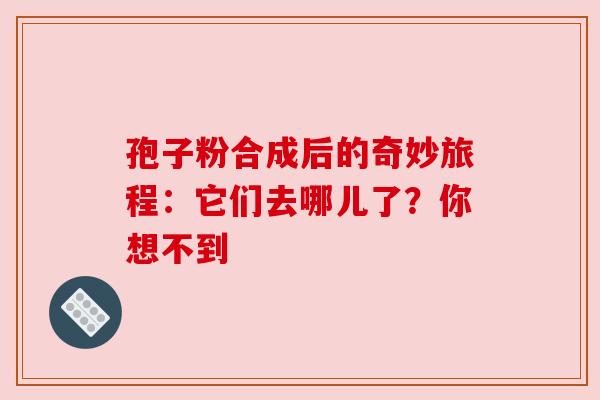 孢子粉合成后的奇妙旅程：它们去哪儿了？你想不到