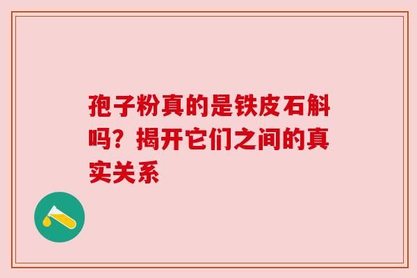 孢子粉真的是铁皮石斛吗？揭开它们之间的真实关系