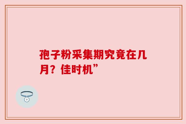 孢子粉采集期究竟在几月？佳时机”