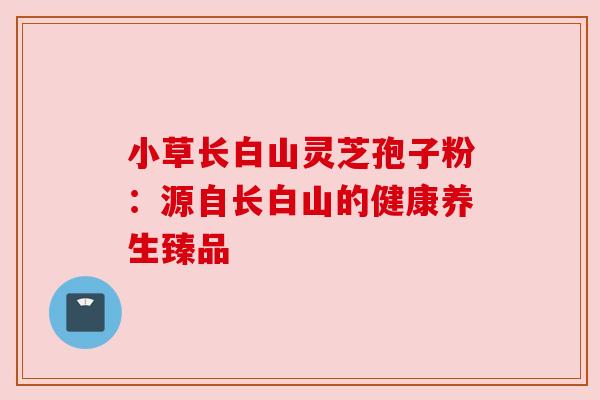 小草长白山灵芝孢子粉：源自长白山的健康养生臻品