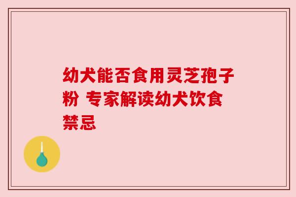 幼犬能否食用灵芝孢子粉 专家解读幼犬饮食禁忌